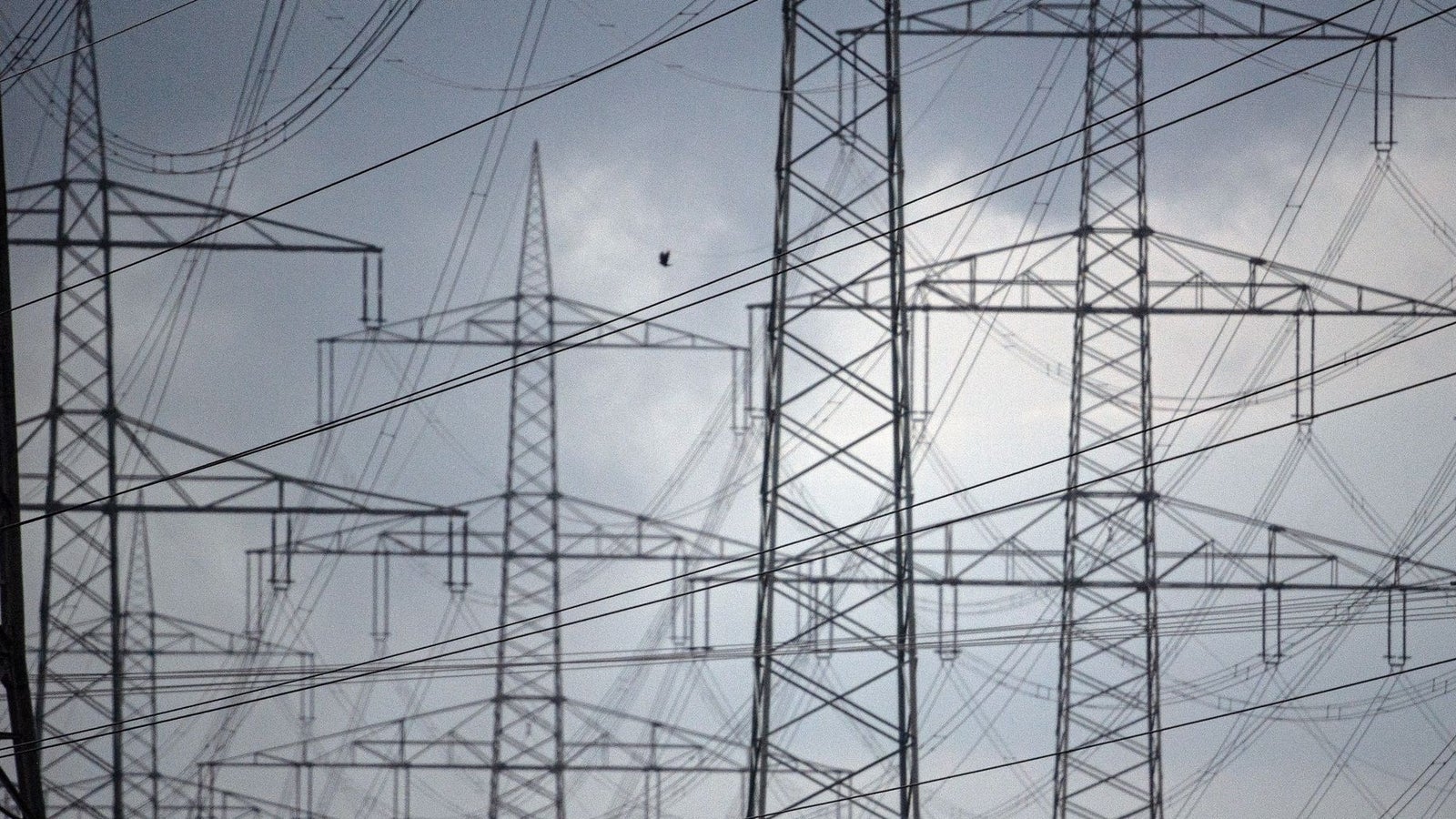 Dieser Energie-Anbieter senkt jetzt die Preise - Business-Live